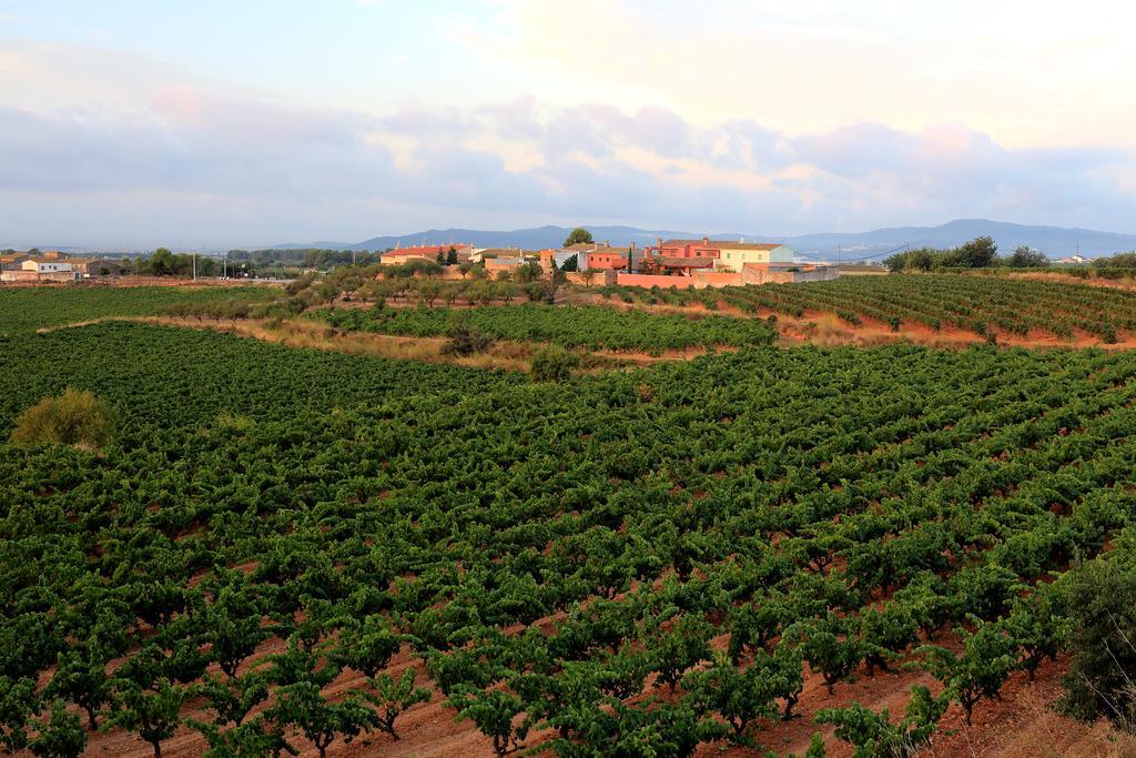 Mas Castell De Gimenelles Hotel Sant Jaume dels Domenys Bagian luar foto