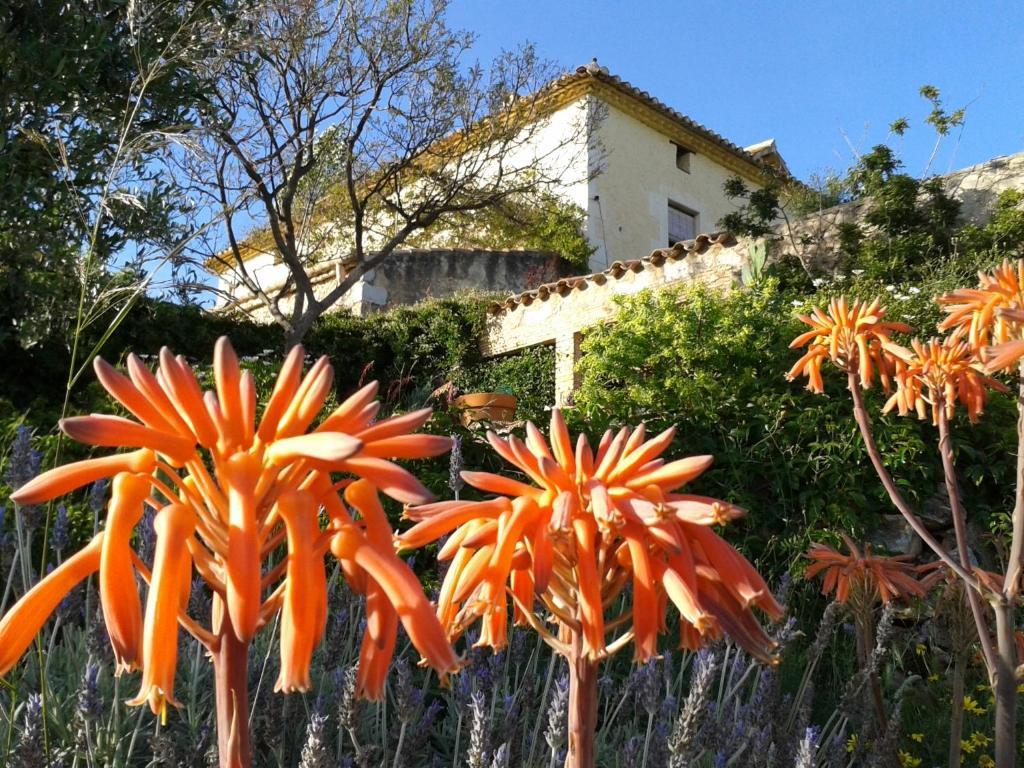 Mas Castell De Gimenelles Hotel Sant Jaume dels Domenys Bagian luar foto