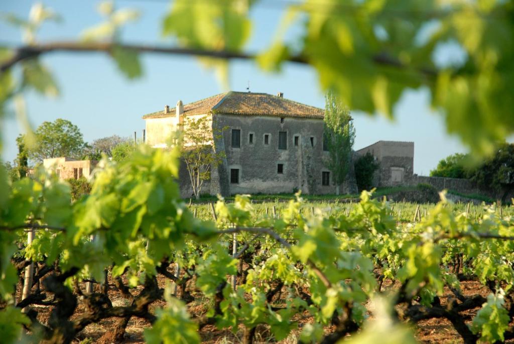 Mas Castell De Gimenelles Hotel Sant Jaume dels Domenys Bagian luar foto