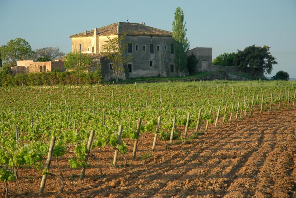 Mas Castell De Gimenelles Hotel Sant Jaume dels Domenys Bagian luar foto
